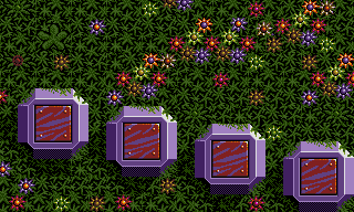 Lethal Xcess - Map of Level 3 - The evil Garden
