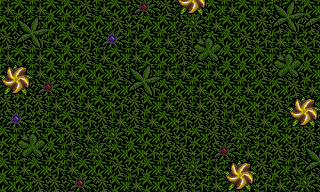 Lethal Xcess - Map of Level 3 - The evil Garden