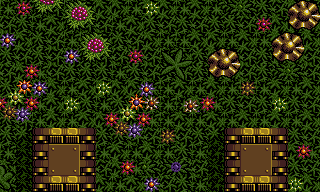 Lethal Xcess - Map of Level 3 - The evil Garden