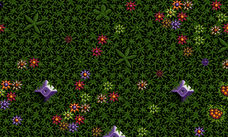 Lethal Xcess - Map of Level 3 - The evil Garden